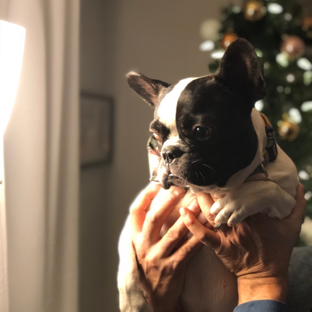 Meet your Posher, Emma